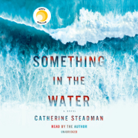 Catherine Steadman - Something in the Water: A Novel (Unabridged) artwork