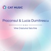 Vine Craciunul Fara Tine (feat. Lucia Dumitrescu) - Single