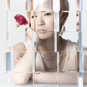 Carnation - L'œillet - Single