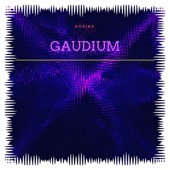 Gaudium artwork