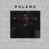 Pulang (feat. Epo DXH) artwork