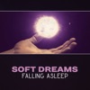 Soft Dreams: Falling Asleep – Music for Insomnia, Trouble Sleeping Help, Soothing Evening Music, Reduce Stress & Worry, Easy Listening, Sounds of Nature