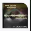 You Are My Light (feat. Cecilia Krull) [Defmann Remix] - Single album lyrics, reviews, download