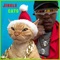 Jingle Cats - iAmMoshow lyrics