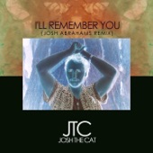 I'll Remember You (Josh Abrahams Remix) artwork
