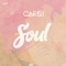 Soul - Cardi lyrics