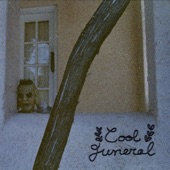 Cool Funeral - Flux Feelings