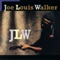 Lost the Will to Love Me - Joe Louis Walker lyrics
