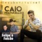 Insubstituível (feat. Felipe e Falcão) - Caio Fratucello lyrics