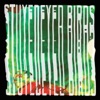 Stuyedeyed / Birds Split 7" - Single, 2017