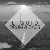 Best of LW Liquid Drum & Bass II artwork