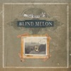 Blind Melon - Soul One