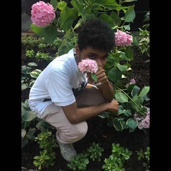 Cover artwork for Rolling