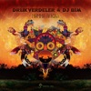DJ Bim - Into the Vortex