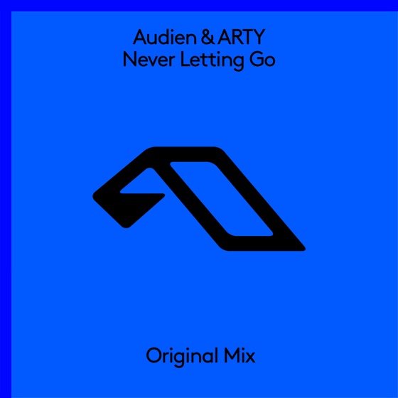 Cover artwork for Never Letting Go