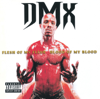 DMX - Slippin'  artwork