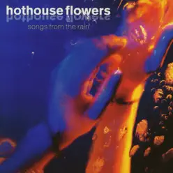 Songs from the Rain - Hothouse Flowers