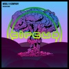 Briddim Bomb - Single