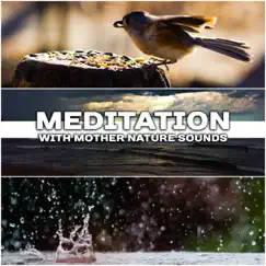Meditation with Mother Nature Sounds: The Best Soothing, Healing & Relaxing Music for Stress Relief, Massage & Yoga Class by Healing Power Natural Sounds Oasis album reviews, ratings, credits