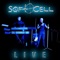 Sex Dwarf (Live 2003) - Soft Cell lyrics