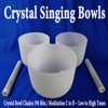 Crystal Bowl Chakra (90 Min.) Meditation C to B [Low to High Tones]