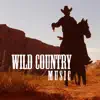 Wild Country Music: 2018 Best Selection, Wild Guitar Rhythms with Unique Instrumental Essence album lyrics, reviews, download