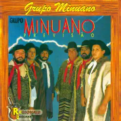 Previsão - Grupo Minuano Previsão - Grupo Minuano