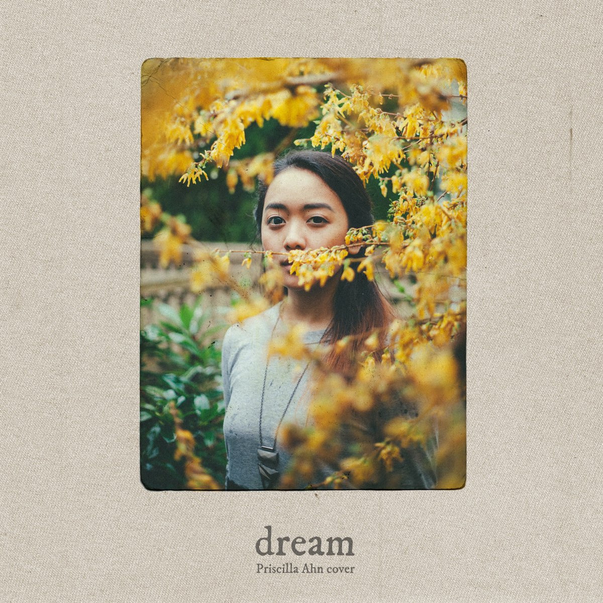 ‎Dream - Single by The Macarons Project on Apple Music