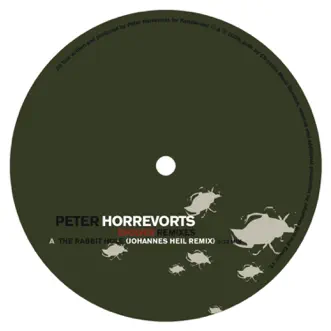 Evolver (Remixes) - EP by Peter Horrevorts album reviews, ratings, credits