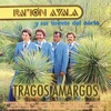 Ramón Ayala y Sus Bravos Del Norte - Infiel