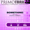 Something (Pop Primotrax) [Performance Tracks] - EP album lyrics, reviews, download