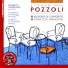 Roberto Giordano - Variazioni sopra un tema calabrese: No. 6, —