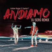 Andiamo (DJ Serg Remix) artwork