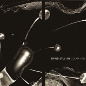 David Sylvian - The Healing Place