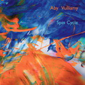 Spin Cycle - Aby Vulliamy