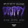 Drippy (feat. FBG Young, fbg Bdutchie & fbg Duck) - Single album lyrics, reviews, download