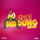 Siddung (Radio Edit) artwork