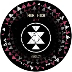 Why - Single by Prok & Fitch album reviews, ratings, credits