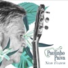 Paulinho Paiva - Todos Os Ritmos