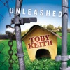 Courtesy Of The Red, White And Blue (The Angry American) by Toby Keith iTunes Track 1