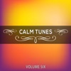 Calm Tunes, Vol. 06