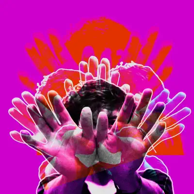 Honesty (Suzi Analogue Remix) - Single - Tune-Yards