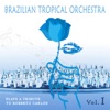 Brazilian Tropical Orchestra Plays a Tribute to Roberto Carlos, Vol. 1