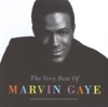 The Very Best Of Marvin Gaye artwork