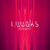 Luwaks - 7 Magnets