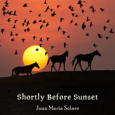 Shortly Before Sunset - Single - Juan María Solare