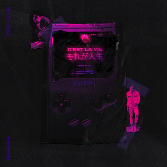 Cover artwork for C'est la vie