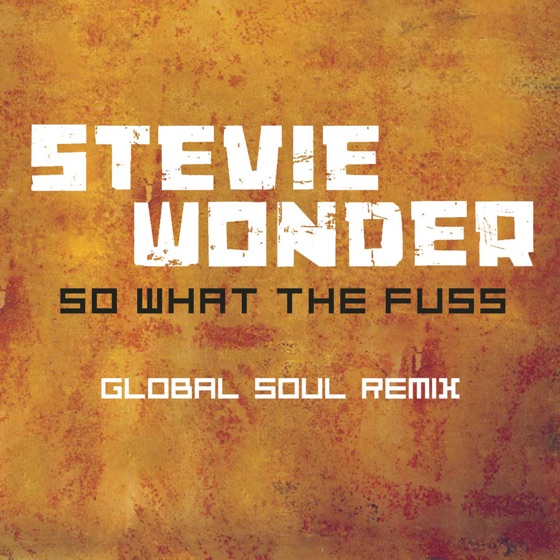 Cover artwork for So What the Fuss