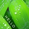 Hello - Single