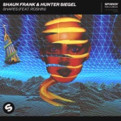 Shaun Frank - Shapes (feat. Roshin)